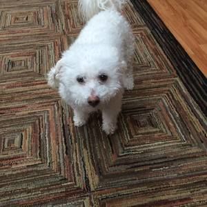 Meet your Posher, Elise